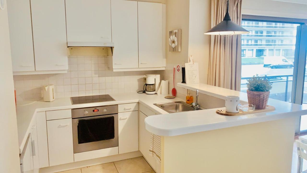 Apartment Ruim, Lichtrijk Met Groot Terras Uitstekend Gelegen In De Panne